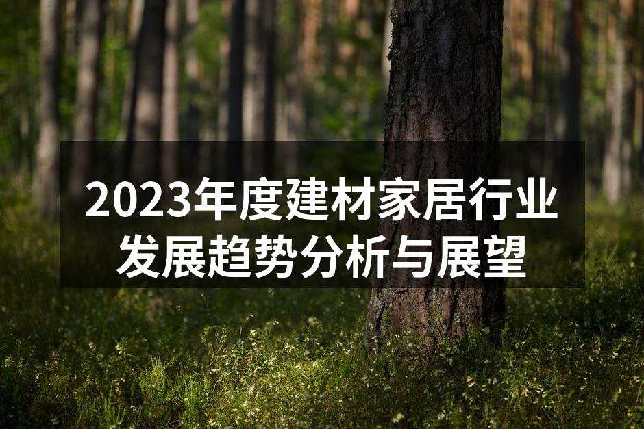 2023年度建材家居行业发展趋势分析与展望